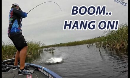 Scott Martin Pro Tips – Big Bass Attacks Spinnerbait! – Scott Martin – How To Spinnerbait Fishing Tip on Okeechobee