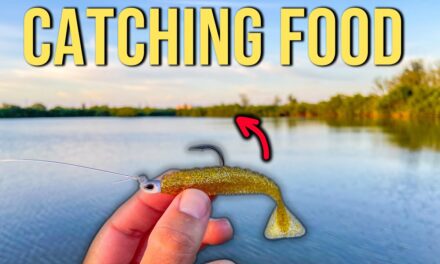 Lawson Lindsey – Catching Lunch From the River {Catch, Clean and Cook}