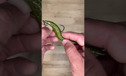 Salt Strong | – Common Rigging Mistake That's Destroying Your Lures