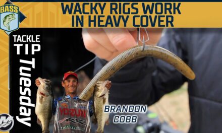 Bassmaster – Don't be afraid to fish a Wacky Rig in Heavy Cover