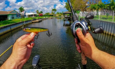 Lawson Lindsey – Fish Were Crushing Topwaters In Tight Florida Canals!