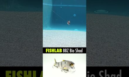 FishLab BBZ Bio Cranking Shad 4"- Bass Fishing Swimbait #shorts