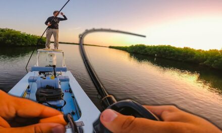 Lawson Lindsey – Fishing Topwaters and Live Mullet | A Perfect Summer Day In Florida|