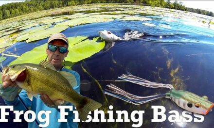 Frog Fishing Bass