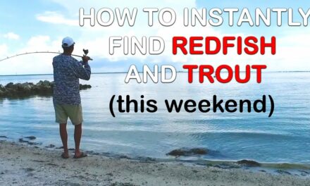 Salt Strong | – How To Instantly Find Redfish & Trout This Weekend