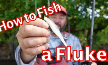 FlukeMaster – How to Fish a Fluke – Bass Fishing