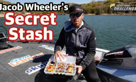 Scott Martin Pro Tips – Jacob Wheeler Cranking Tips – How to catch bass in the early spring with wiggle warts