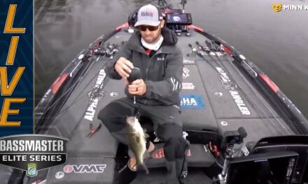 Bassmaster – MISS RIVER: Brandon Palaniuk breaks the silence and starts catching keepers