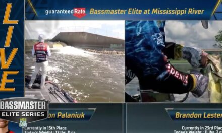 Bassmaster – MISS RIVER: Palaniuk and Lester go back and forth