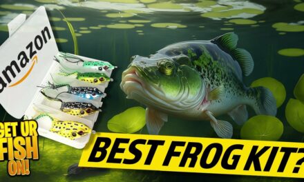 PURCHASE The Amazon Top Water Bass Fishing Frog Kit? YES or NO?
