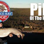 Pike of The Far North