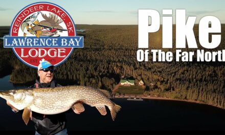 Pike of The Far North