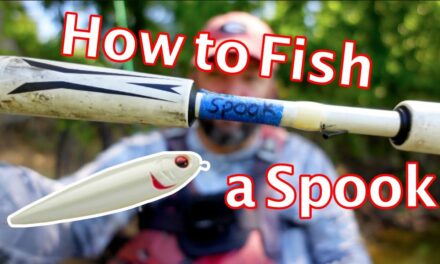 FlukeMaster – September Baits – How to Fish a Topwater Spook – Bass Fishing