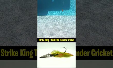 Strike King TUNGSTON Thunder Cricket #shorts #bass #bassfishing