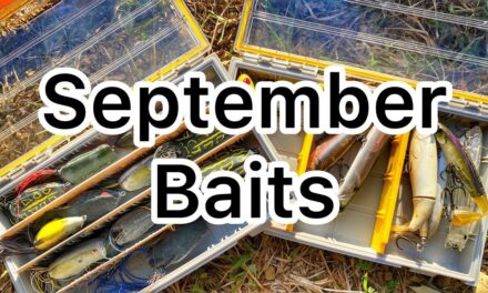 FlukeMaster – The Baits for September – Bass Fishing