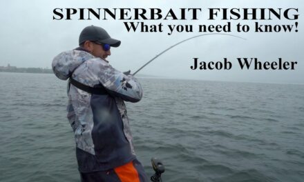 Scott Martin Pro Tips – The Best Spinnerbait Fishing Tips Ever – Ft. Jacob Wheeler