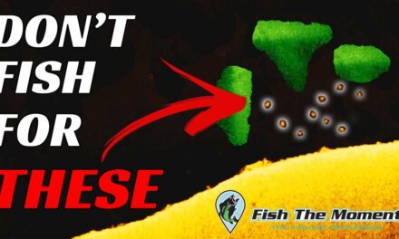 These Bass Are Uncatchable | Stop Wasting Your Time
