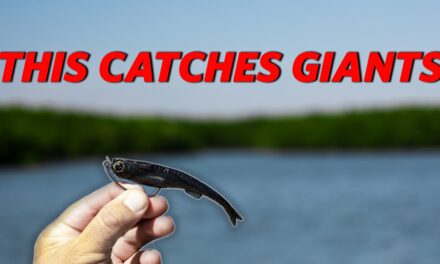 Lawson Lindsey – This Lure Catches Giants! Insane Day Inshore Fishing