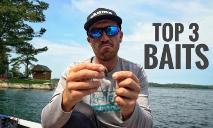 Scott Martin Pro Tips – Top 3 Finesse Baits – How to Fish and Rig