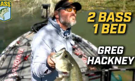 Bassmaster – Unfiltered: 14 minutes of Greg Hackney sight fishing two bedding bass
