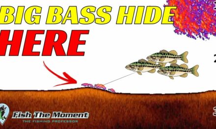Use 2D Sonar To Reveal GIANT Bass You Never Saw Before On Your Fish Finder