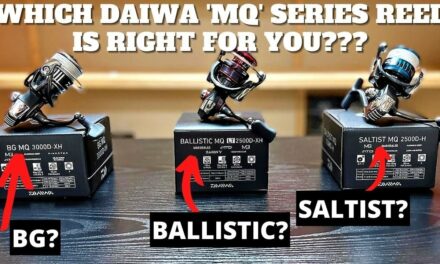 Salt Strong | – Which Daiwa 'MQ' Series Reel Is Right For YOU? (BG, Ballistic, and Saltist Comparison)