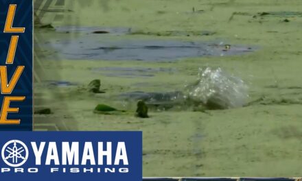 Bassmaster – Yamaha Clip of the Day: Martin and Shryock end Day 1 with a topwater upgrade