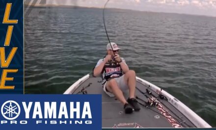 Bassmaster – Yamaha Clip of the Day: Rivet's two unorthodox smallmouth catches