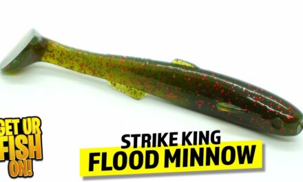 BEST SWIM BAIT? Strike King Flood Minnow Bass Fishing Lure
