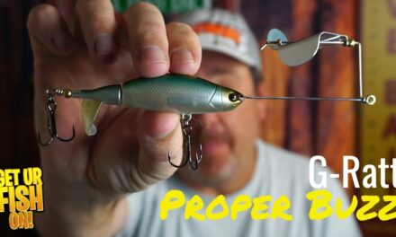 Buzz Bait or Plopper: G-Ratt Proper Buzz Bass Fishing Top Water Lure
