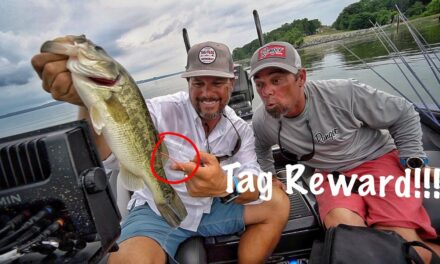 Scott Martin Pro Tips – Caught a Fish with $REWARD$ Tag – First Time EVER!!