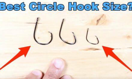 Salt Strong | – Circle Hooks: How To Choose The Right Size Hook For Live vs. Dead vs. Cut Bait