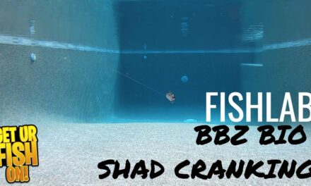 FishLab BBZ Bio Cranking Shad Shallow Floating Bass Fishing Lure