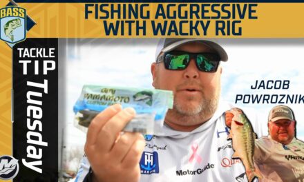 Bassmaster – Fishing FAST for big bass with a Wacky Rig