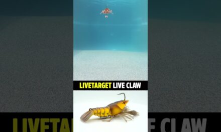 How good is the new LIVETARGET Live Craw for Bass Fishing Anglers?
