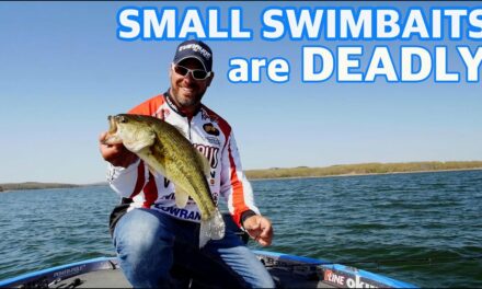 Scott Martin Pro Tips – How to Fish a Finesse Swim Bait – Expert fishing tips you need to know to catch more bass