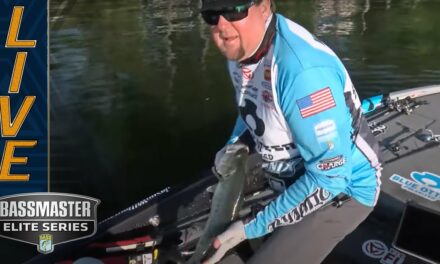 Bassmaster – MURRAY: Fish come in bunches for Williamson on Day 1