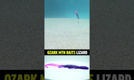 Ozark Mountain Baits Soft Plastic Bass Fishing LIZARD