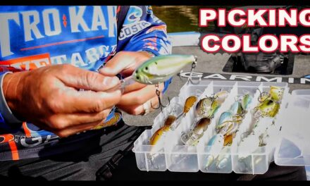 Scott Martin Pro Tips – Save Money – How to choose the right color crankbaits for Bass Fishing – Instructional Series