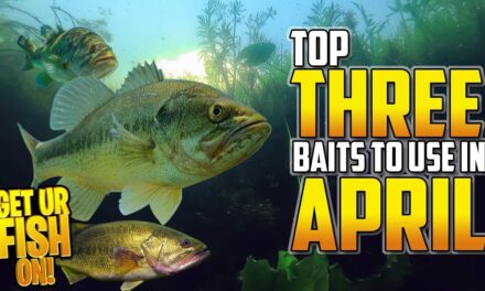 THREE Bass Fishing BaitsTo Use In April To CATCH Pre-Spawn Largemouth
