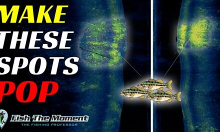 This Fish Finder HACK Can Make or Break Your Success Offshore | Bass Fishing Electronics