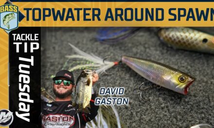 Bassmaster – Utilizing Topwater before and during the bass spawn