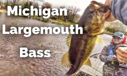 FlukeMaster – We slayed the Largemouth – Fishing with YouTubers in Michigan Day 4