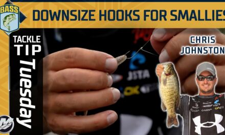 Bassmaster – Why choosing a smaller hook is BETTER for smallmouth!