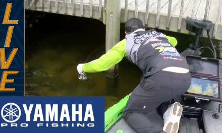 Bassmaster – Yamaha Clip of the Day: Hunter Shryock's epic dock catch at Lake Murray