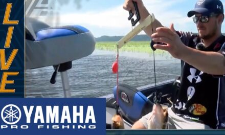 Bassmaster – Yamaha Clip of the Day: Johnston culls up ounces late on Championship Monday