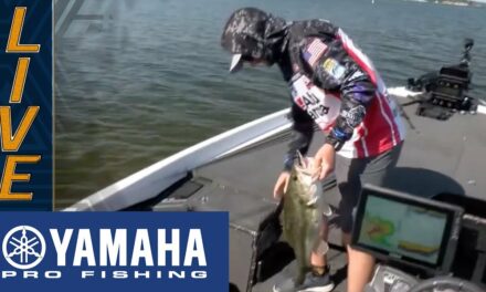 Bassmaster – Yamaha Clip of the Day: LeHew's terrific topwater bite on Lake Murray