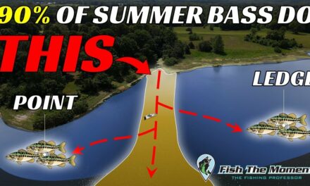 Big Bass Always Stack Up Here As The Water Gets Warmer – Don’t Miss This!