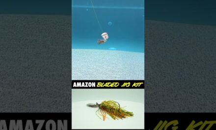 Amazon Bass Fishing Bladed & Vibrating Jig Kit Worth It? #shorts