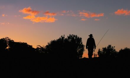 Australia – Tasmania Fly Fishing *Trailer* By Todd Moen